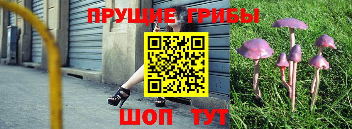 Псилоцибиновые грибы ЛСД Кириши