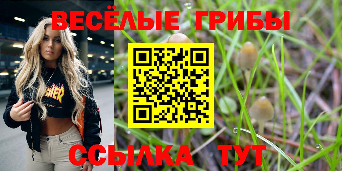 Кириши  APVP СК кристаллы  Вход с VPN  Cocaine  ТГК  ГАШ  Мефедрон   MDMA  Марихуана 