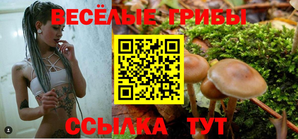 Псилоцибиновые грибы ЛСД  Галлюциногенные грибы MAGIC MUSHROOMS  Вход с VPN  Кириши 
